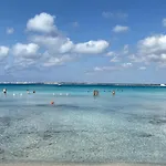 Ampelea Soft Di Paf * Gallipoli